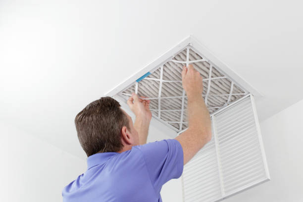 Best Mold and Mildew Removal from Ducts in Gonzales, CA